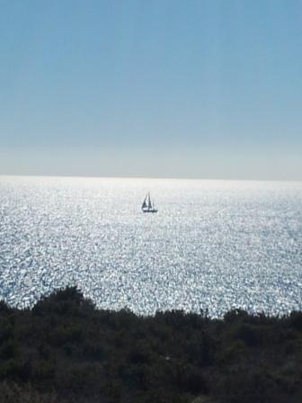 20130303_125958.jpg