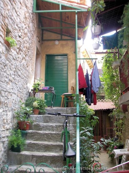 100_9565.JPG