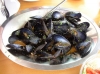 P1010039.jpg
