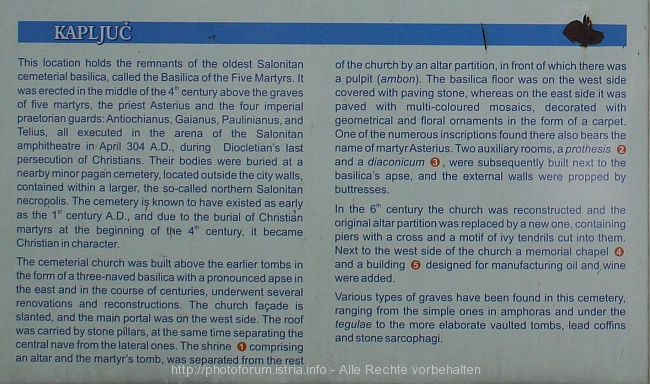 SALONA_Kapljuc2_IMG_4154.jpg