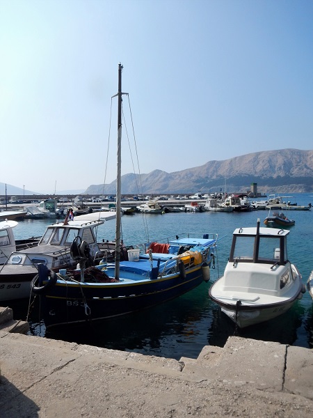 DSCN0421.jpg