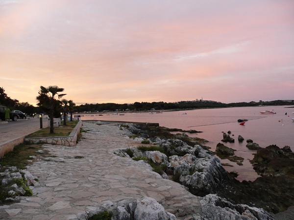 P1020565.JPG