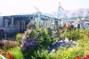 Botanischer_Garten_IMG_6538_2.jpg