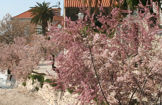 zz7.4.08_Ploce_Orebic_093_680.jpg