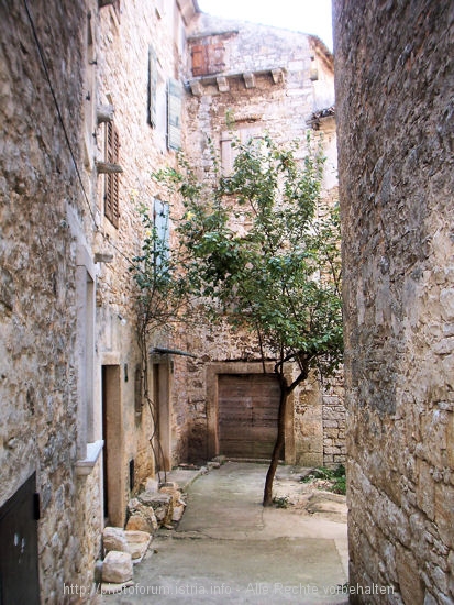100_9503.JPG