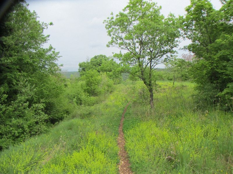 wanderung_budava_21.jpg