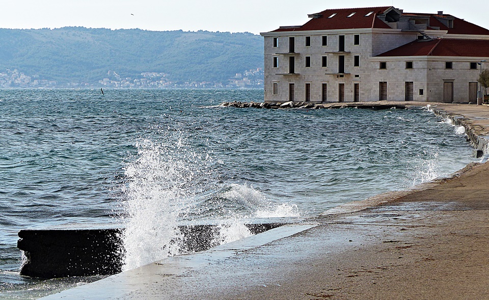 P1340651.jpg