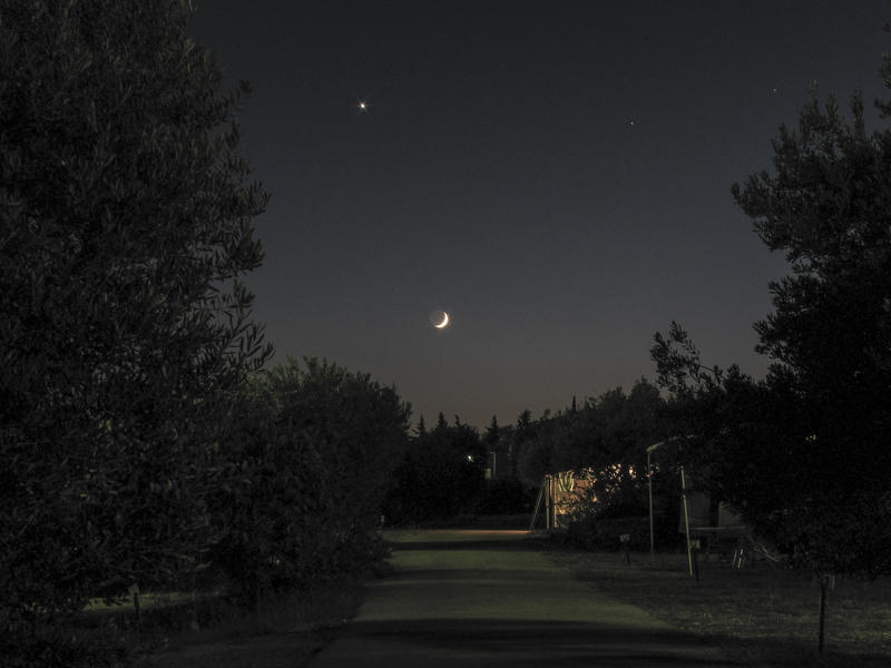 20703527bl.jpg