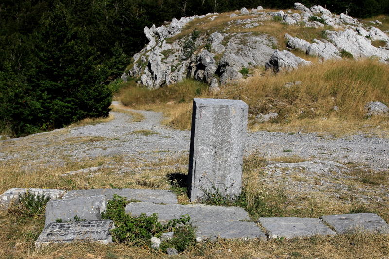 17501867rr.jpg