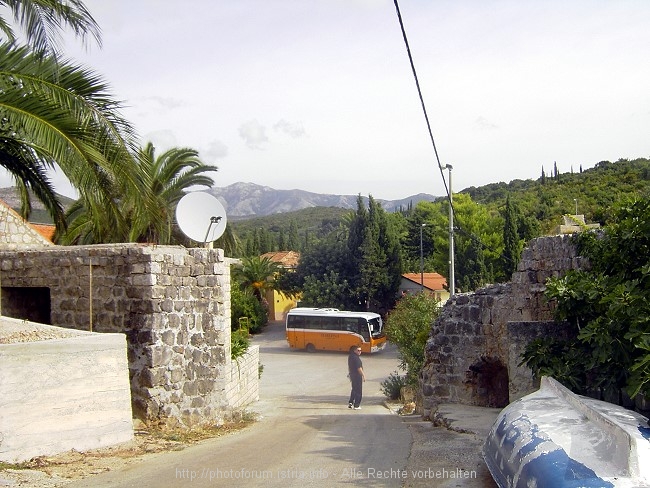 PICT0155-1.jpg