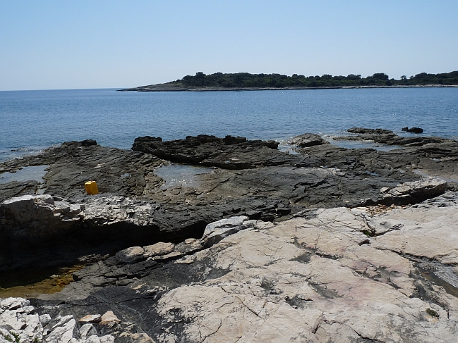P1050291a.jpg