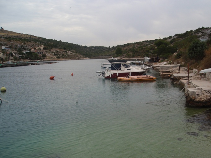 P1010403.jpg