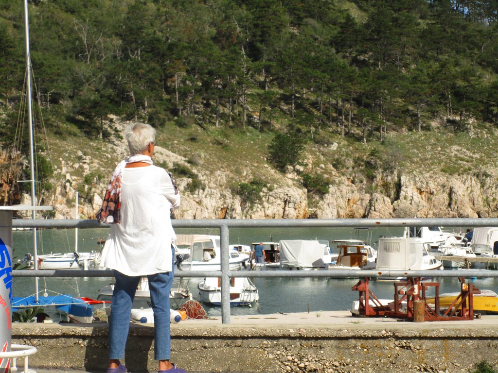 30411300px.jpg