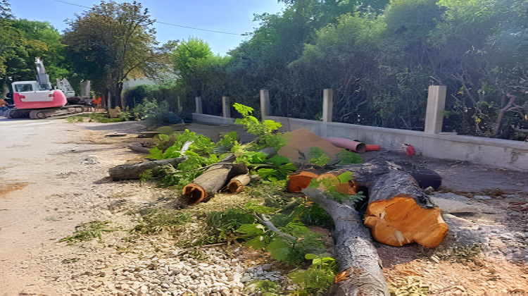 www-kastela-org.translate.goog