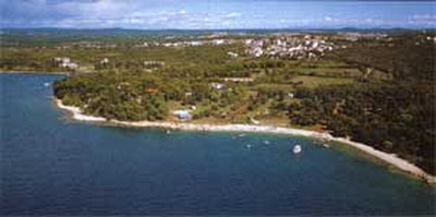 puntizela.jpg