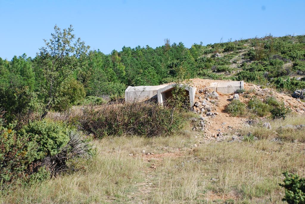 ddaiod1qnwlvsz52f.jpg