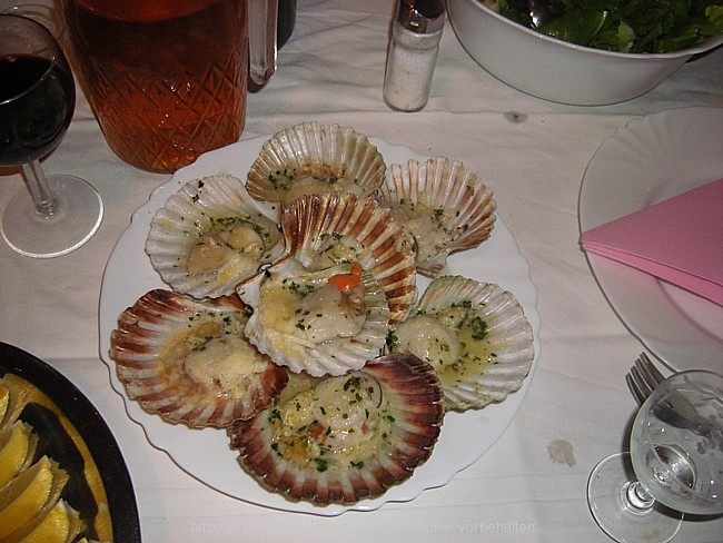 IMGP2234.jpg
