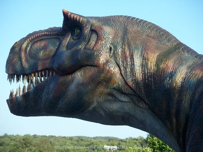 FUNTANA__Dino_1.jpg