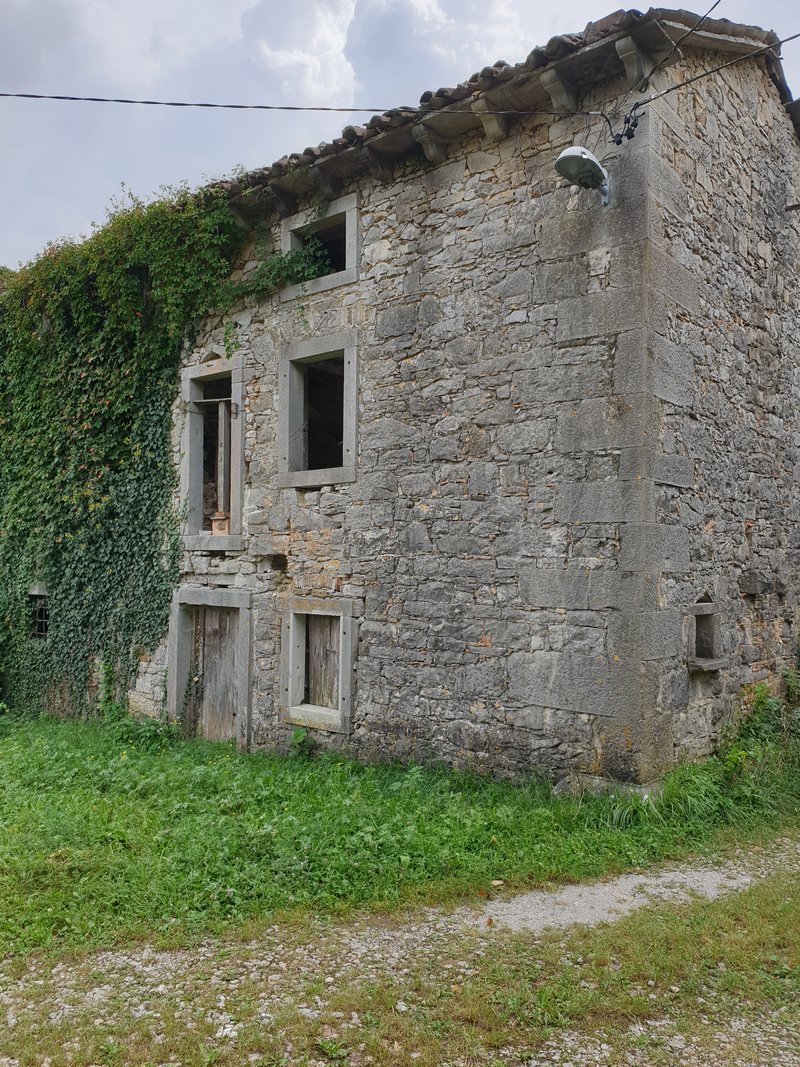 40126308cj.jpg