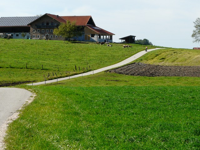 P1040975.jpg