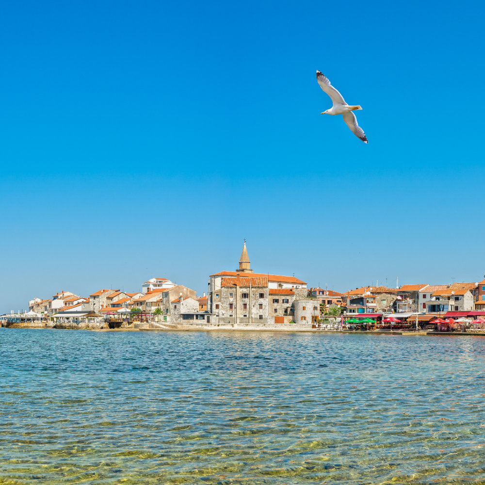 tamar-umag.hr