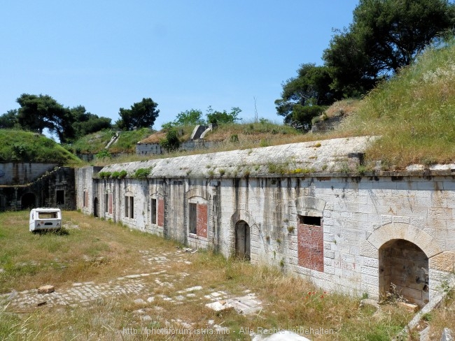 P1090155.jpg