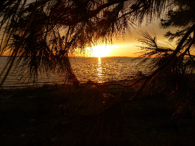 P10800731.jpg