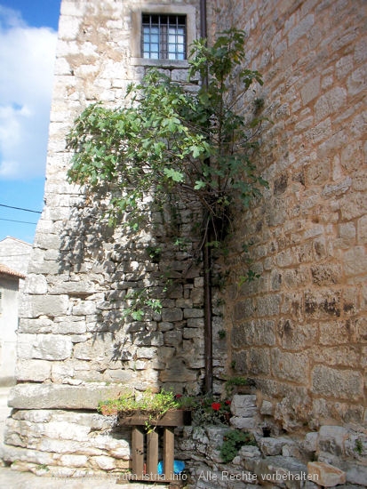 100_9510.JPG