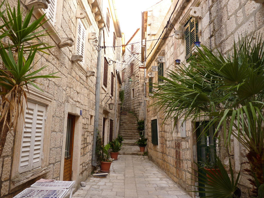 34639320zw.jpg