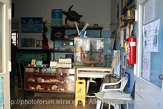 PIRAN_Aquarium_320IMG_7512.jpg