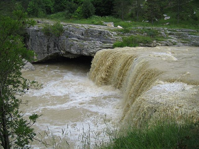 liznjan_juni2011_206.jpg