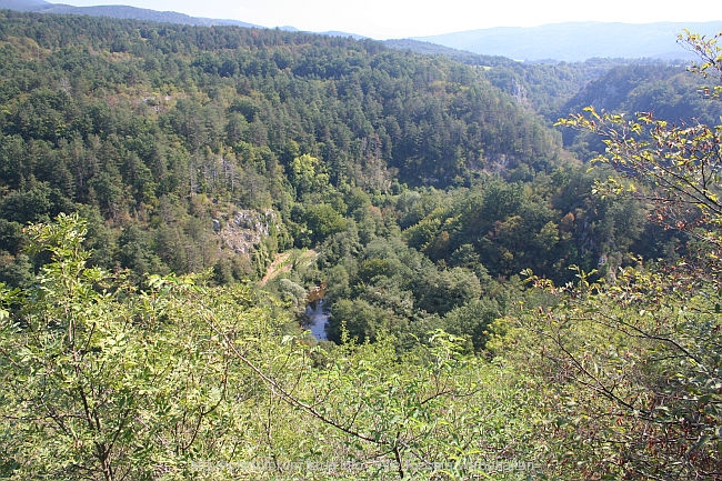 SKOCJAN_Karstdoline_Hhle_Nhe_Ausgang_IMG_7176.JPG