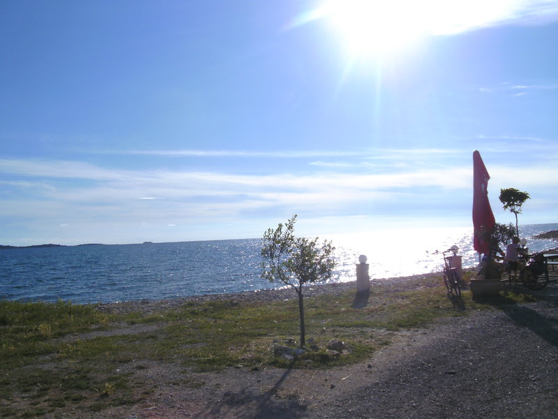 25793186fk.jpg