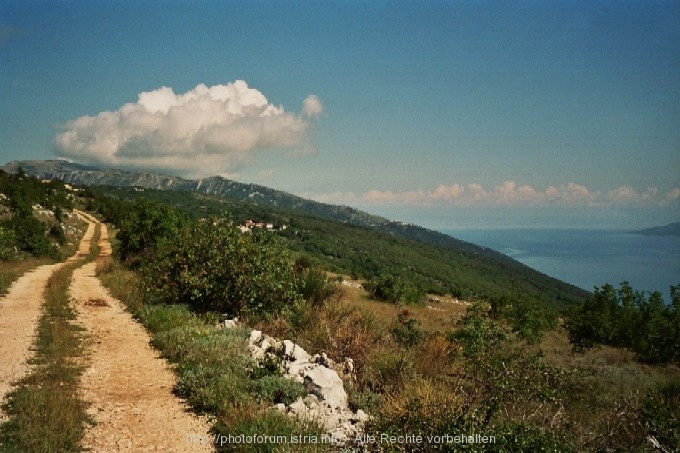 Wanderweg.jpg