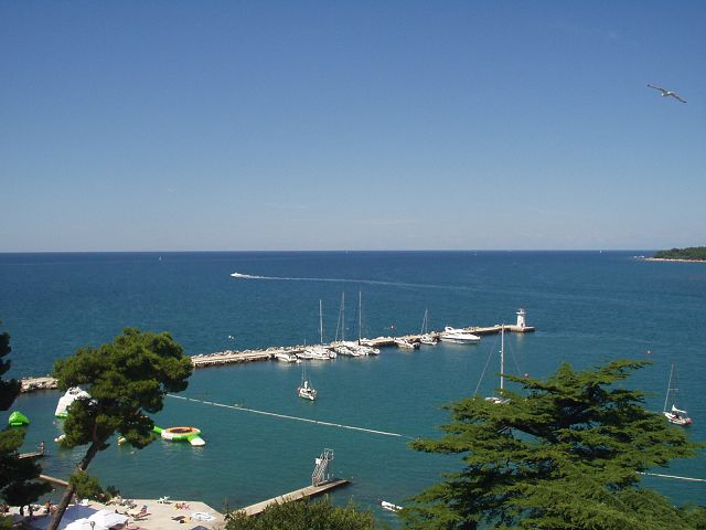 k-P1010063.jpg