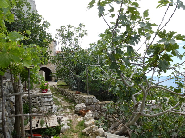 P1010248_Bildgre_ndern.jpg