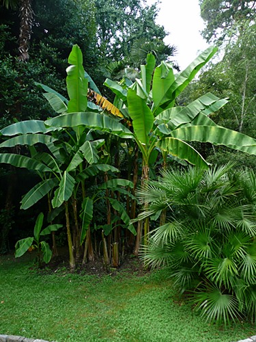 P1020028.JPG