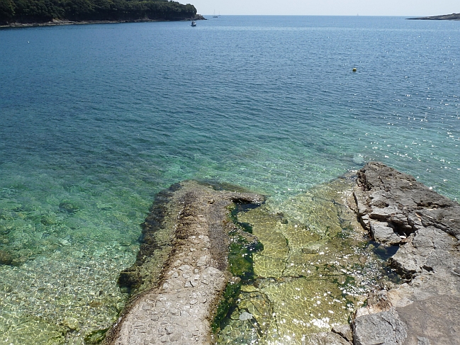 P1050325a.jpg