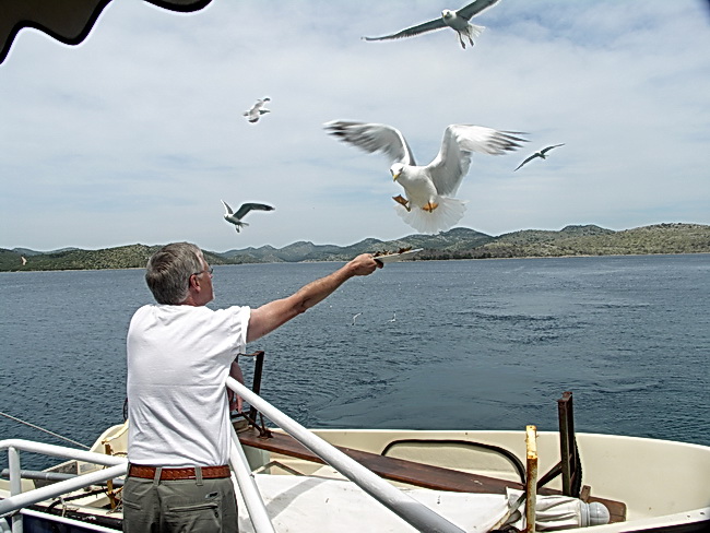 PICT5494-1.jpg
