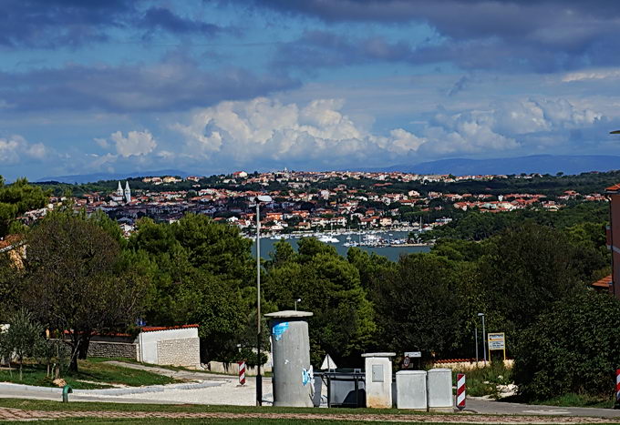 DSC08444-1.jpg