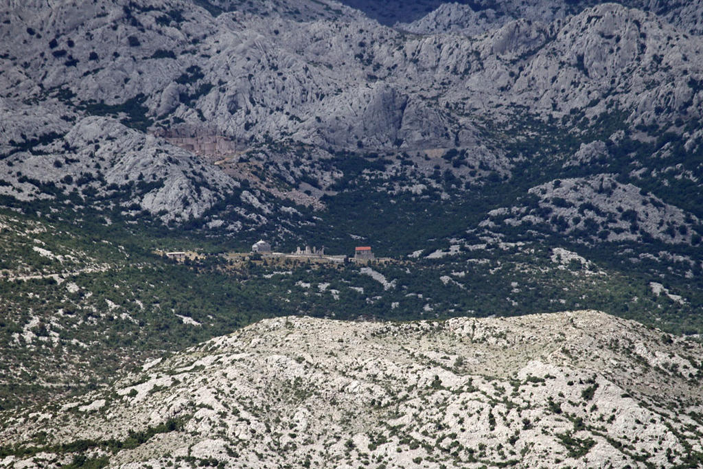 33687349ev.jpg