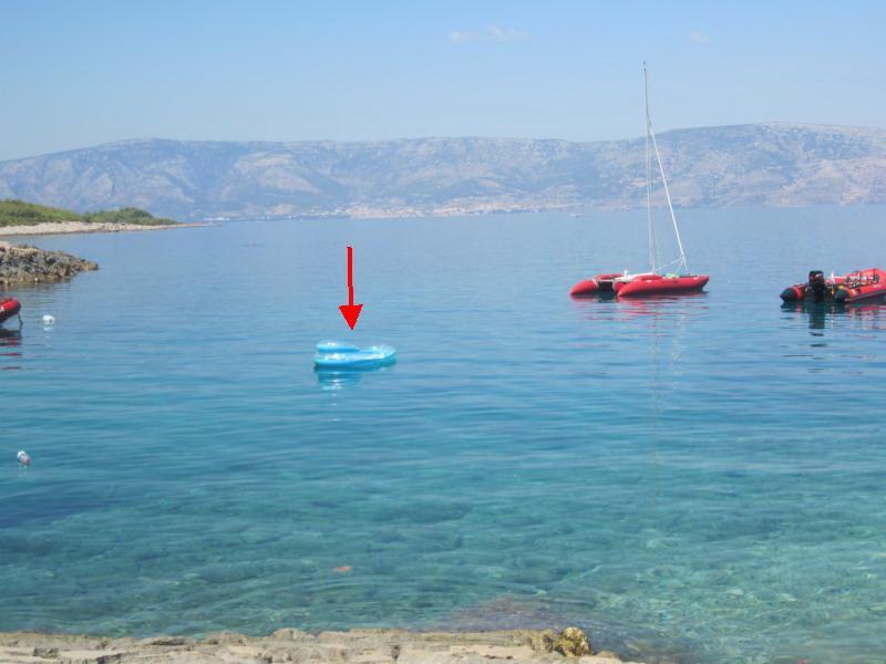 37926692sj.jpg