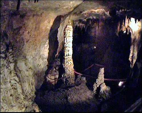 5-baredine512.jpg