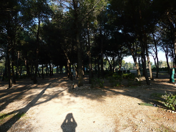 P1180132_Bildgre_ndern.JPG