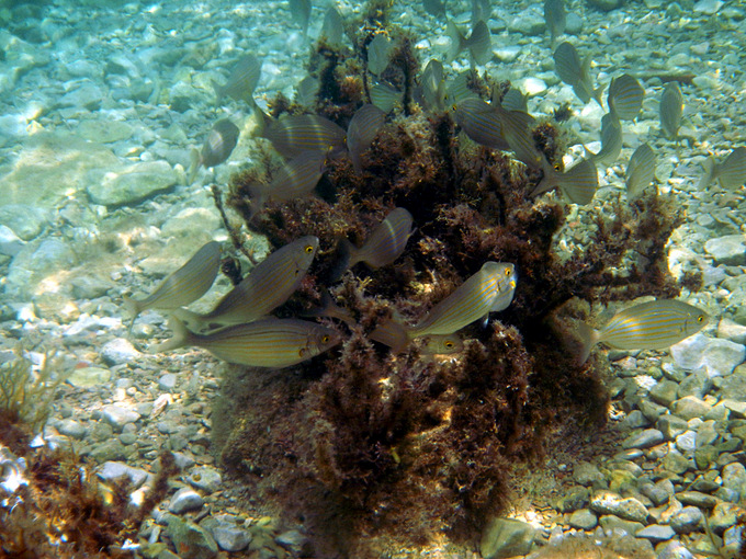 DSCN1512.JPG