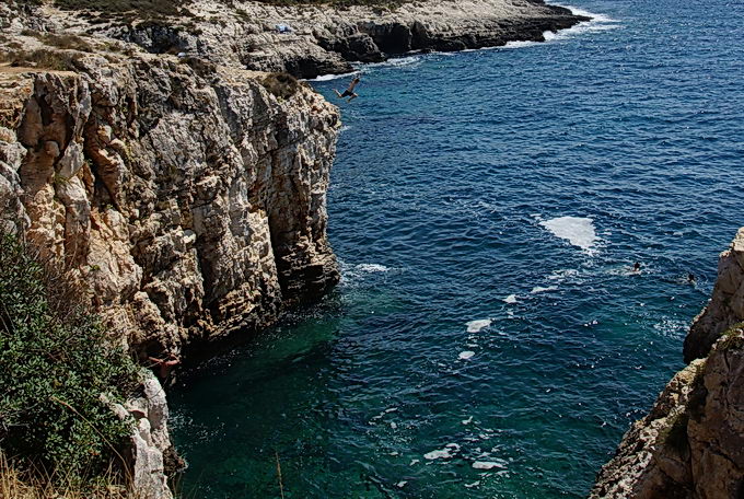 DSC07872-1.jpg