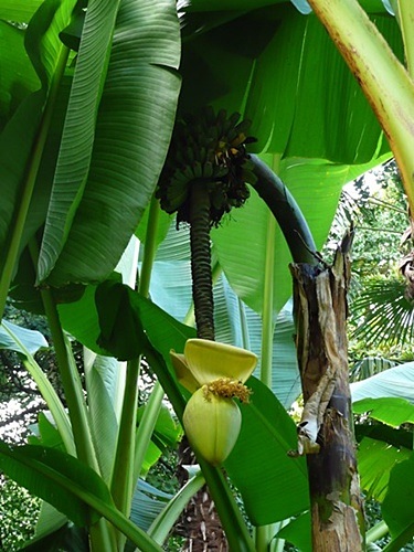 P1020031.JPG