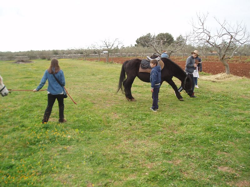 Reiten.jpg