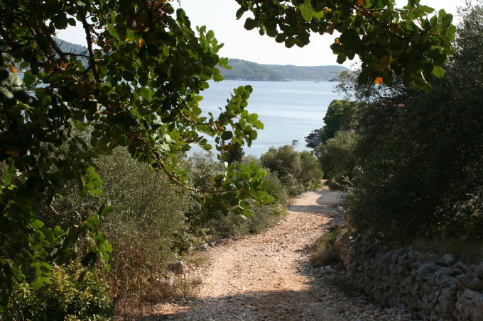 Rogac_b680.jpg