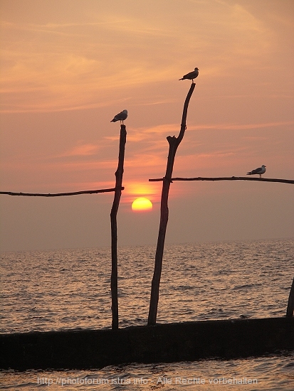 PICT5047-1.jpg